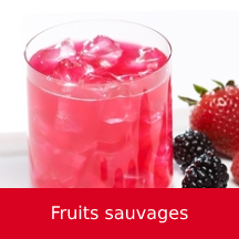 boisson froide fruits sauvages